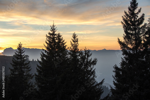 Oranger Sonnenuntergang in den europäischen Alpen mit Tannenarten