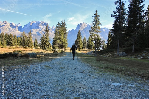 Girl trekker in front of Brenta Dolomites. Madonna di Campiglio, Trentino, Italy
