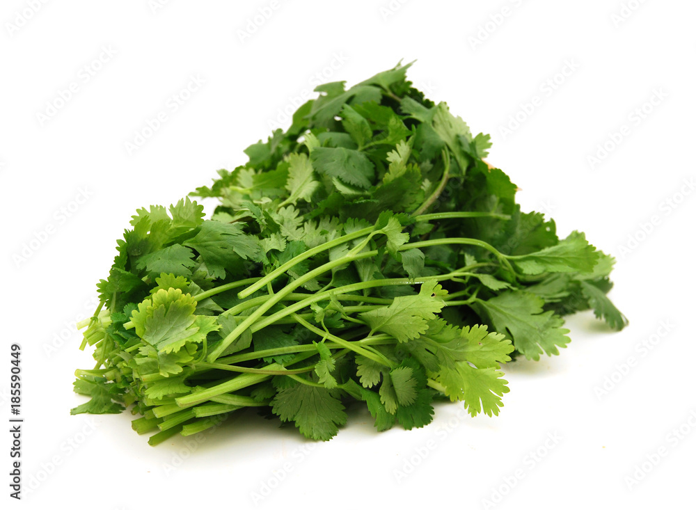 Obraz premium green leaves of parsley isolated on white background