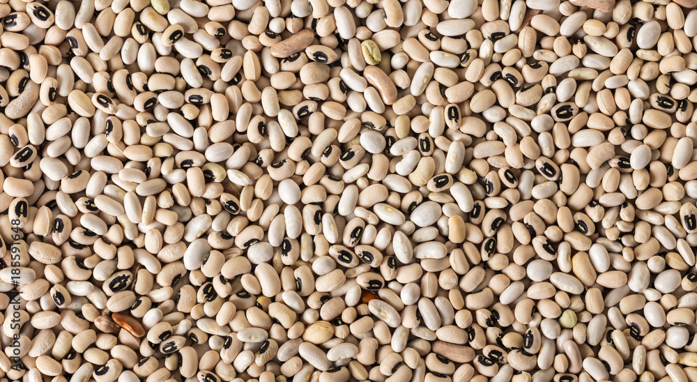 white bean texture closeup white bean texture closeup