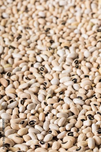 white bean texture closeup