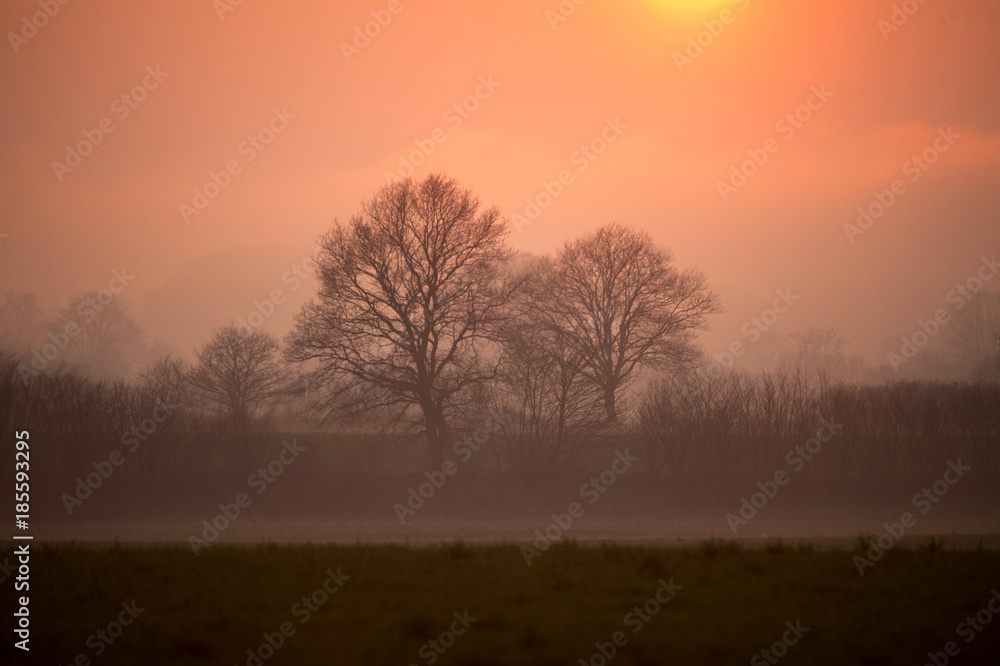 Abendnebel bei Sonnenuntergang - Deutschland Abendnebel bei Sonnenuntergang - Deutschland