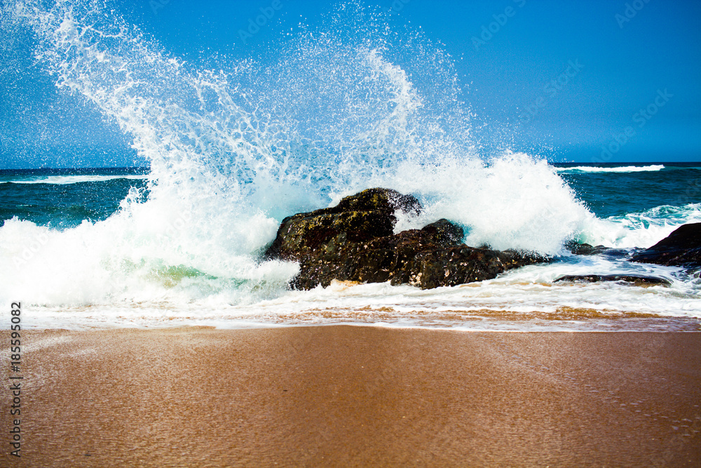 Wave in the Ocean