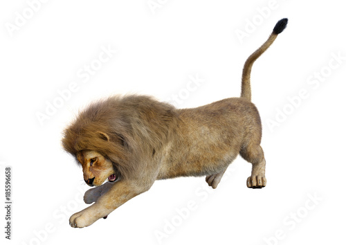 Fototapeta Naklejka Na Ścianę i Meble -  3D Rendering Male Lion on White