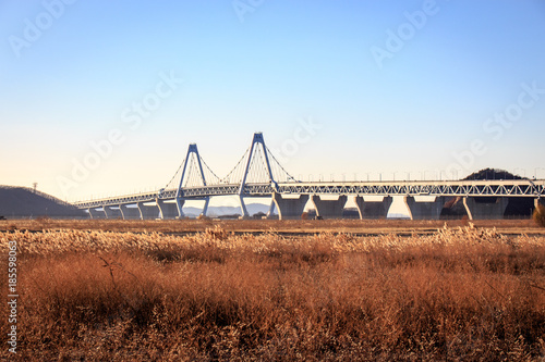Yeongjongdo bridge in south korea. Bridge landscape. © MYUNGKU