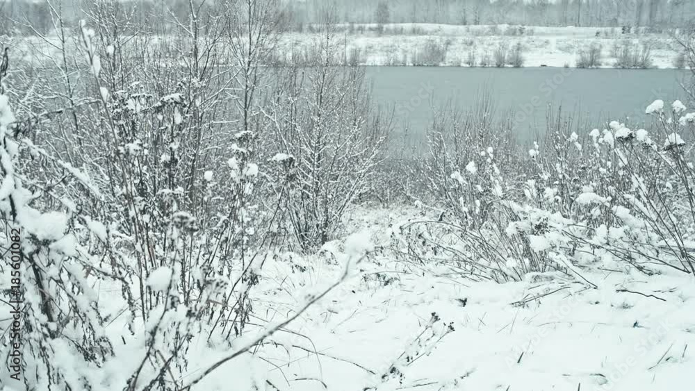 Dried plant covered with snow. With frozen lake on background Dried plant covered with snow. With frozen lake on background