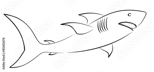 Sketch of big shark.