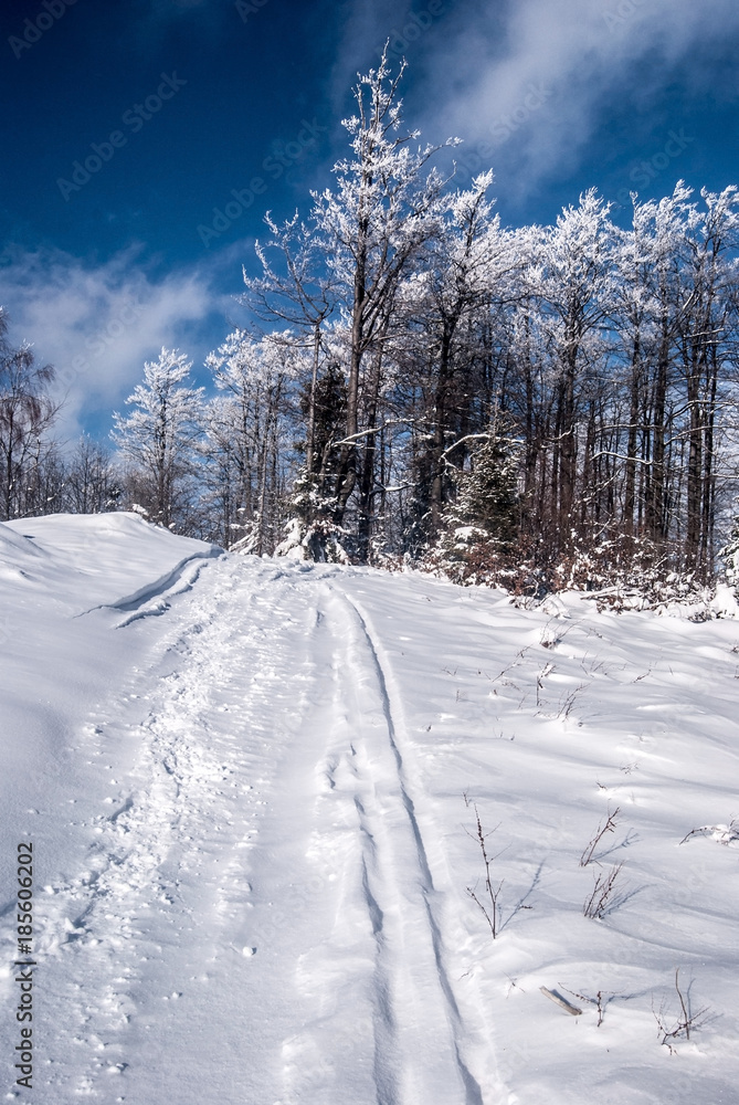 snow covered hiking trail with frozen trees and blue sky with clouds in Beskids mountains