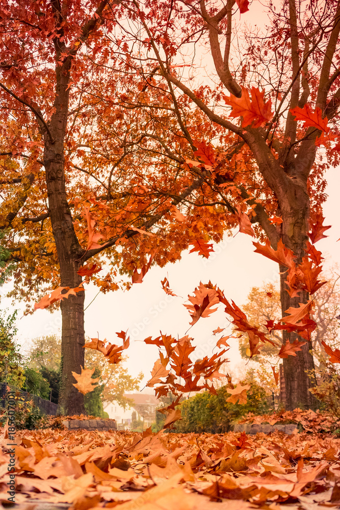 Herbst Herbst