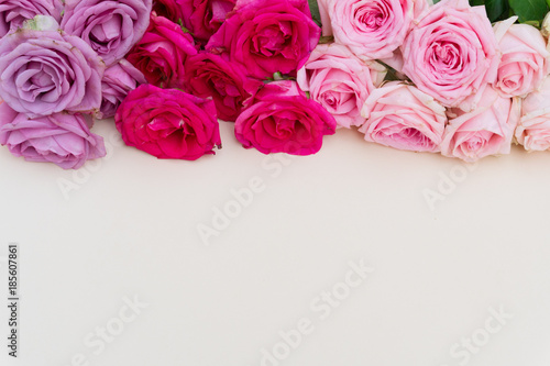 Violet and pink blooming fresh rose flowers border with copy space