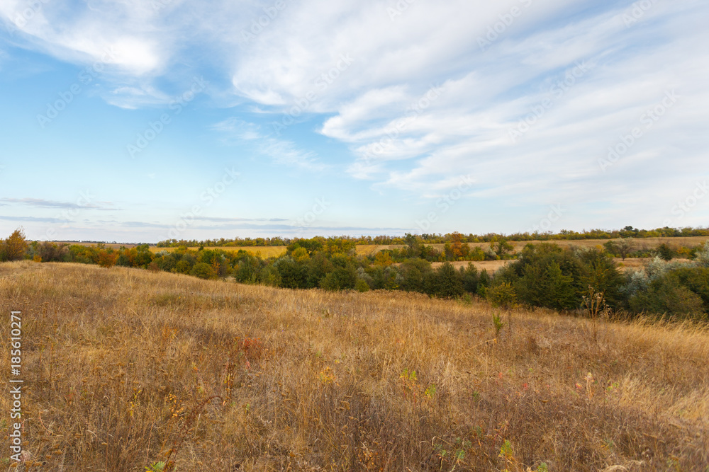 Fototapeta premium Rural fall landscape under the blue sky