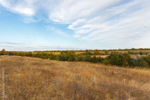 Rural fall landscape under the blue sky