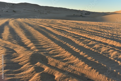 off road vehicle ATVs (All Terrain Vehicles) tire tracks in sand dunes at Imperial Sand Dunes, California