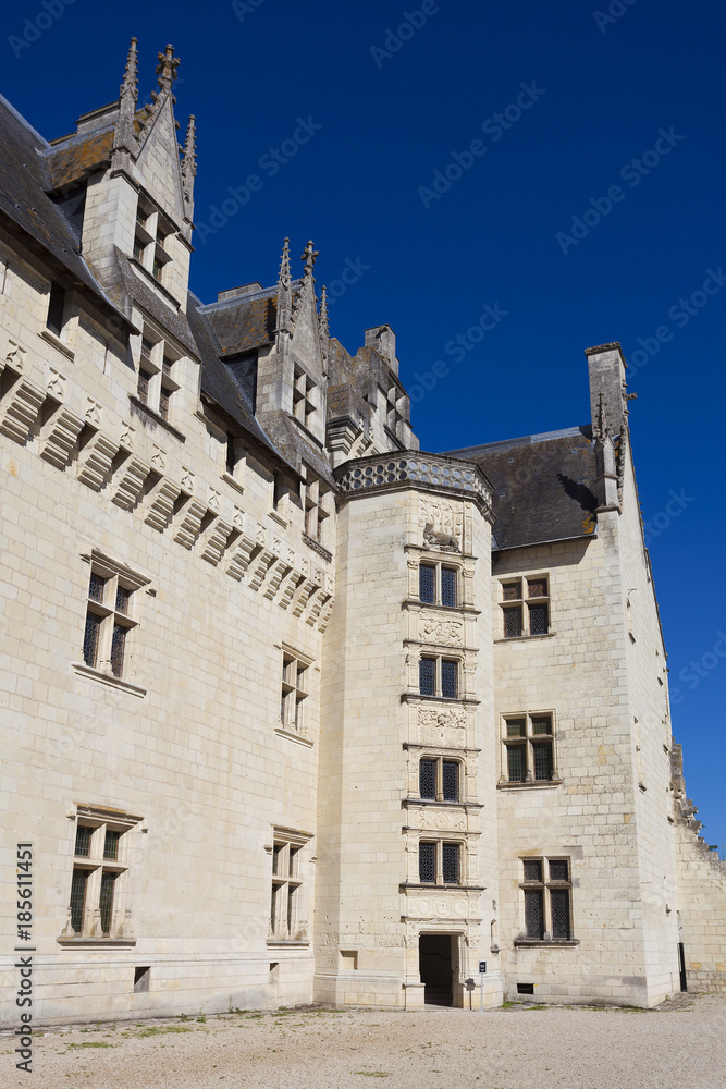 Castle of Montsoreau, Pays-de-la-Loire, France