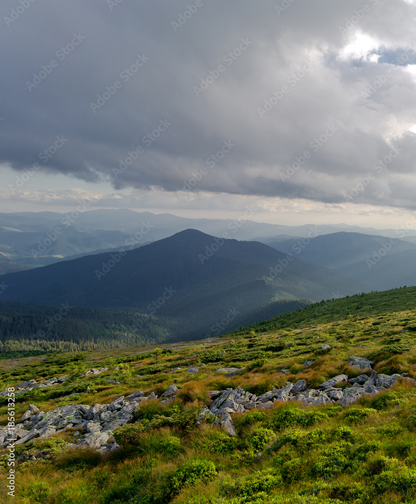 Mountain green valley in the Carpathian Mountains.