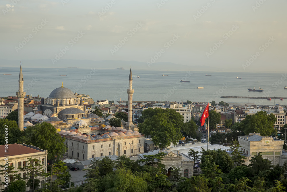 Naklejka premium Magnificent istanbul city, historical peninsula , Fatih mosque , Sultan Ahmed mosque , Suleymaniye Mosque , Ortakoy mosque