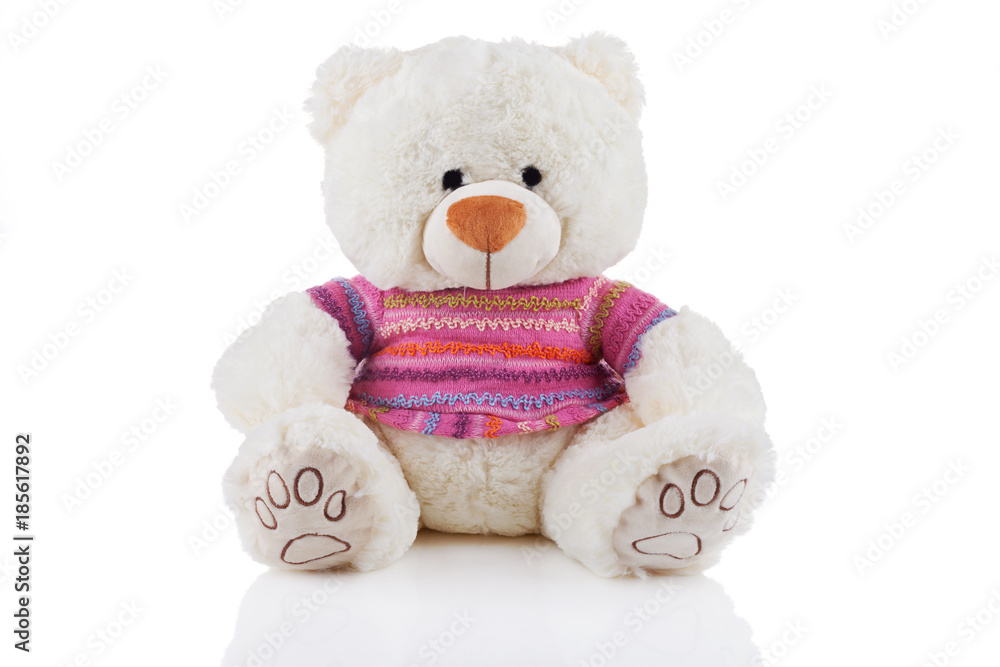 White teddy bear in colorful t-shirt White teddy bear in colorful t-shirt