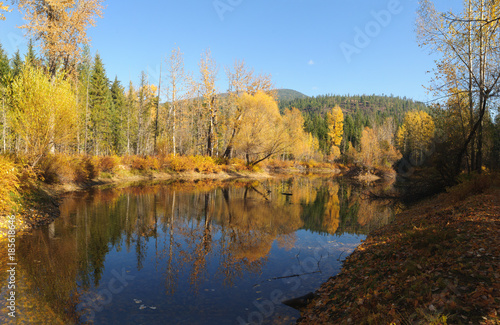 Fall colors around Moose Lake in Northern Idaho