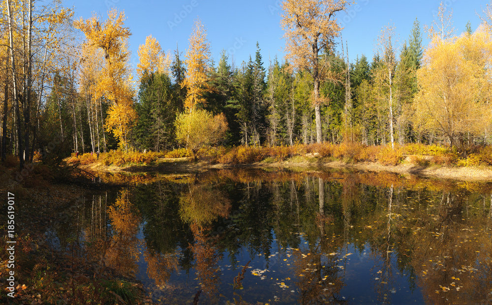 Fototapeta premium Fall colors around Moose Lake in Northern Idaho