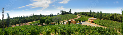 View of vineyards in the Sierra Nevada's foothills of Northern California photo
