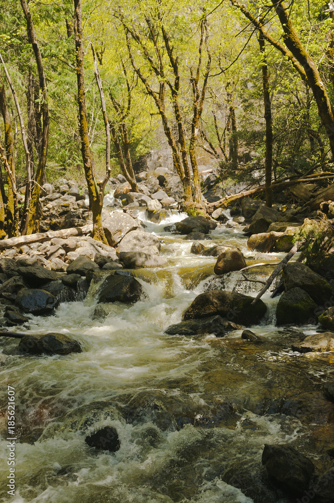 Stream in Yosemite National Park Stream in Yosemite National Park