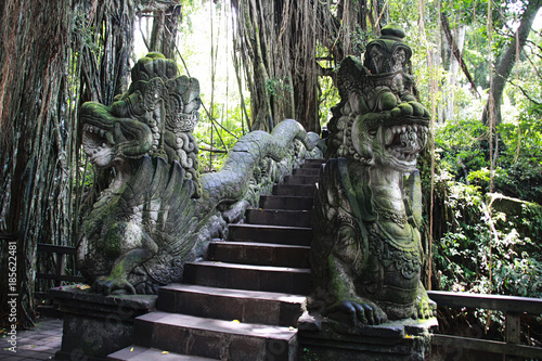Escalier Monkey Forest Ubud, Bali, Indonésie