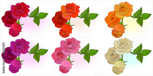 Roses design elements in six colours