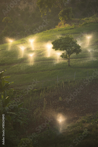 Irrigation system  watering the planting of garlic on the slopes of the mountain watering garlic plantations against the sunset garlic plantations in the mountains of Northern Thailand 