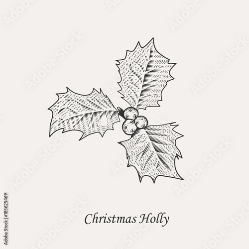 Christmas holly leaves and berries