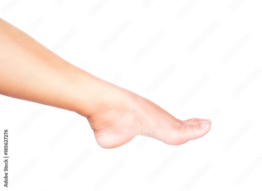 Legs woman on white background for skin care and body beauty product concept Legs woman on white background for skin care and body beauty product concept