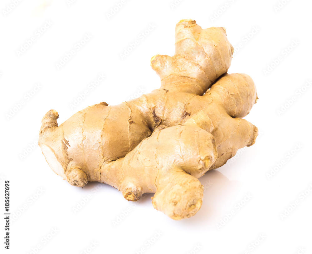 Fresh ginger root on white background for herb and medical product concept