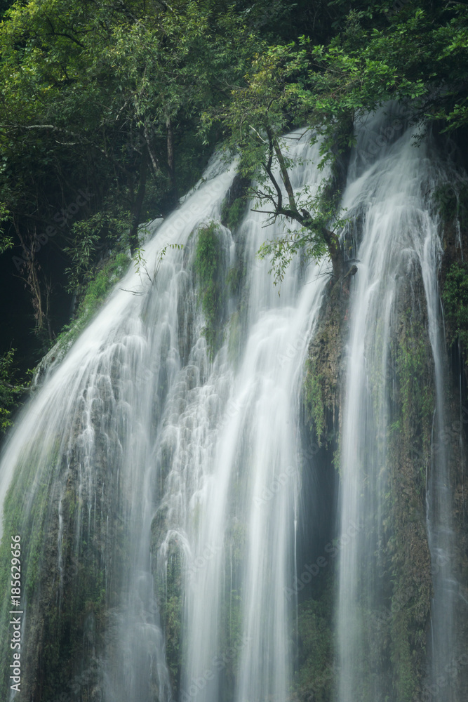 Fototapeta premium waterfall in the forest of thailand named tee lor su waterfall