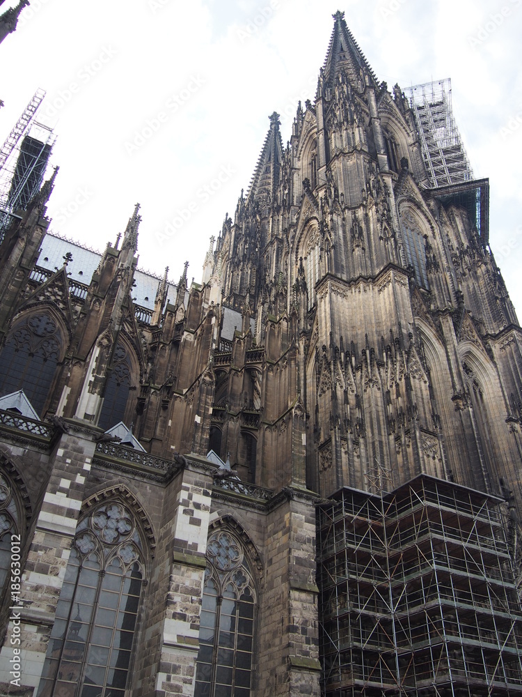 Naklejka premium Cologne Cathedral in Germany