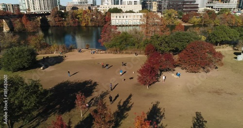 A high angle aerial establishing shot of pet owners playing with their dogs at the Auditorium Shores Dog Park on the banks of the Colorado River in downtown Austin, Texas.  	 photo