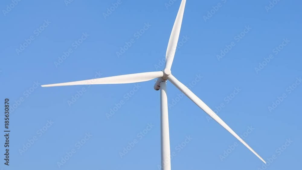 Video of wind turbine farm for electricity generation. It is the alternative energy. The capacity depends on the velocity of wind.