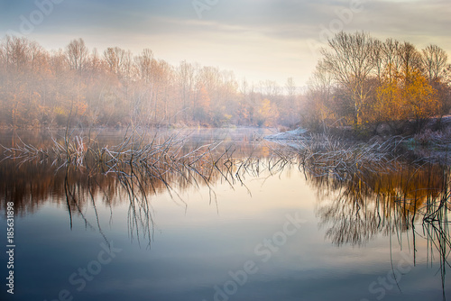 Morning on the river