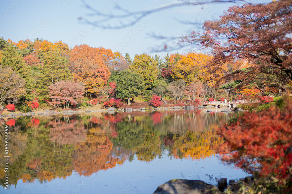 日本庭園