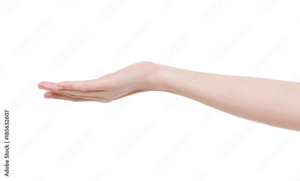 Empty open hand. Woman support hand. Isolated on white. Empty open hand. Woman support hand. Isolated on white.