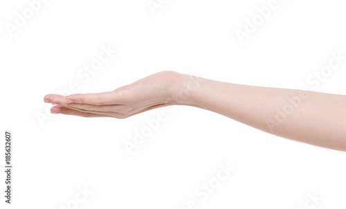 Empty open hand. Woman support hand. Isolated on white.