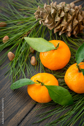 Fresh orange clementine tangerines with coniferous needle branch and fir-cone photo