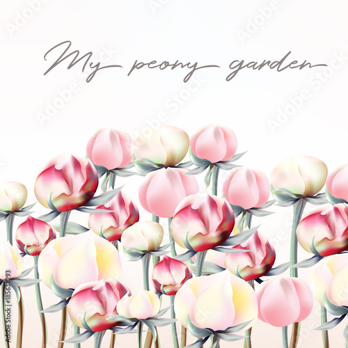 16)	Floral illustration with pink and white peony flowers  in vintage style