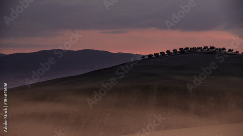 Wallpaper Mural sunset and olive trees Torontodigital.ca