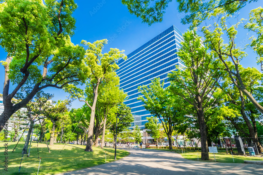 Obraz premium 中野四季の森公園