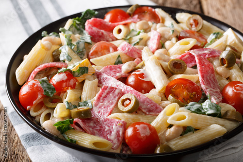 Delicious salad of pasta, salami, cheese, and vegetables with cream sauce close-up. horizontal