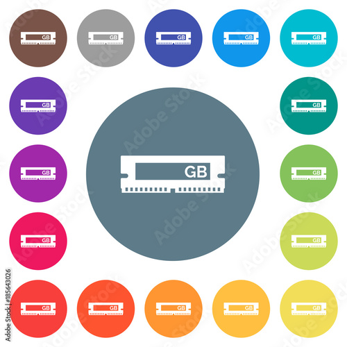 RAM memory module flat white icons on round color backgrounds