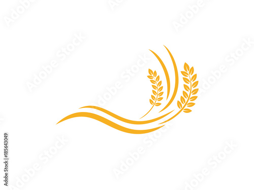 wheat seed food cereal brew vector logo design 