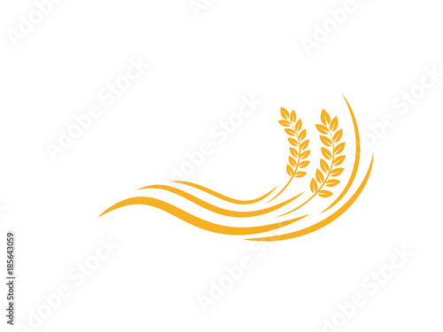 wheat seed food cereal brew vector logo design 