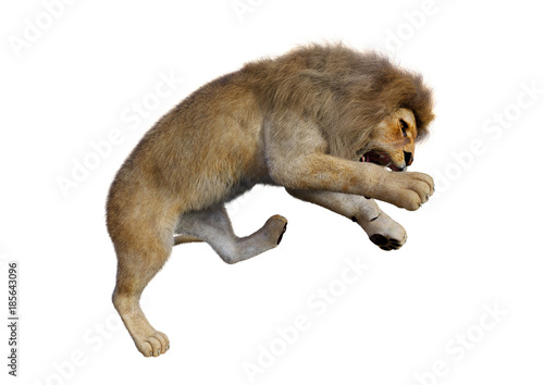 Fototapeta Naklejka Na Ścianę i Meble -  3D Rendering Male Lion on White