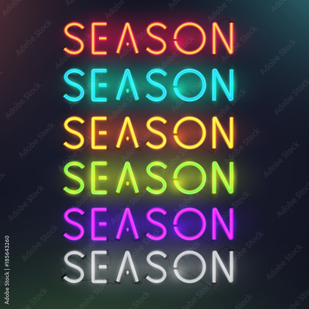 Set of colorful glowing inscription season. 3d realistic neon sign isolated on black background. Retro electric lamp in form of word. Vector illustration.