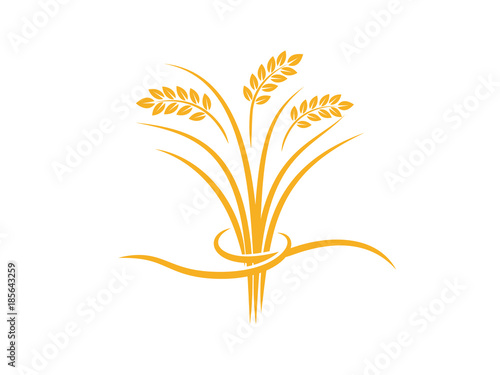wheat seed food cereal brew vector logo design 